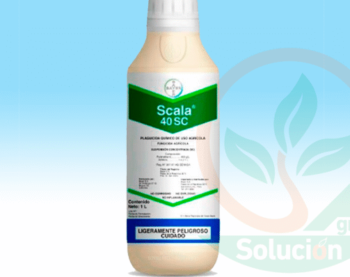 SCALA-40-SC---Agro-Solucion
