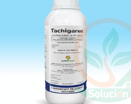 Tachigaren---Agro-Solucion